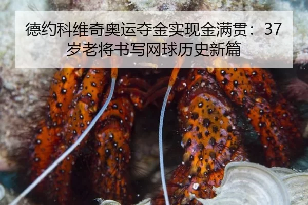 de-yue-ke-wei-qi-ao-yun-duo-jin-shi-xian-jin-man-guan-sui-lao-jiang-shu-xie-wang-qiu-li-shi-xin-pian-3-471.jpg